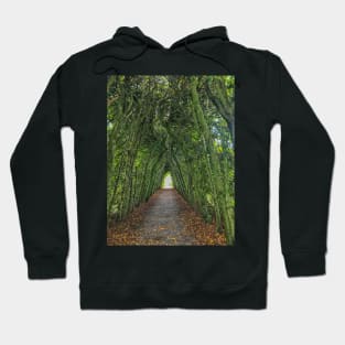 Tree tunnel Hoodie